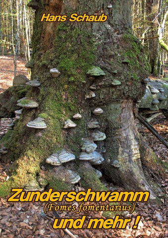 Zunderschwamm und mehr