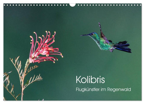 Kolibris - Flugkünstler im Regenwald (Wandkalender 2027 DIN A3 quer), CALVENDO Monatskalender