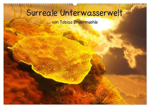 Surreale Unterwasserwelt (Wandkalender 2027 DIN A2 quer), CALVENDO Monatskalender