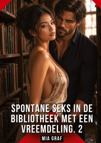 Spontane seks in de bibliotheek met een vreemdeling. 2