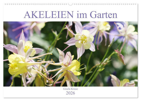 Akeleien im Garten (Wandkalender 2026 DIN A2 quer), CALVENDO Monatskalender