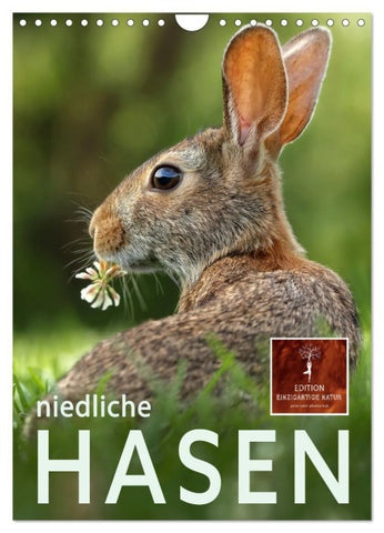 Niedliche Hasen (Wandkalender 2027 DIN A4 hoch), CALVENDO Monatskalender