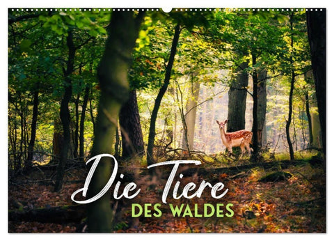 Die Tiere des Waldes (Wandkalender 2027 DIN A2 quer), CALVENDO Monatskalender