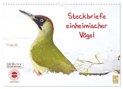 Steckbriefe einheimischer Vögel (Wandkalender 2027 DIN A3 quer), CALVENDO Monatskalender