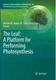The Leaf: A Platform for Performing Photosynthesis