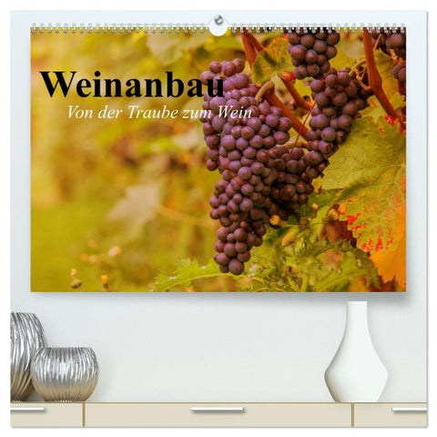 Weinanbau. Von der Traube zum Wein (hochwertiger Premium Wandkalender 2027 DIN A2 quer), Kunstdruck in Hochglanz