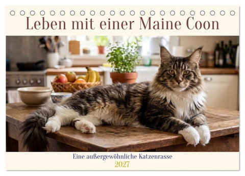 Leben mit einer Maine Coon (Tischkalender 2027 DIN A5 quer), CALVENDO Monatskalender