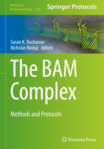 The BAM Complex