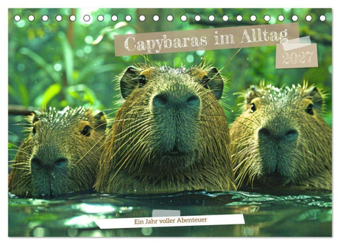 Capybaras im Alltag - Ein Jahr voller Abenteuer (Tischkalender 2027 DIN A5 quer), CALVENDO Monatskalender