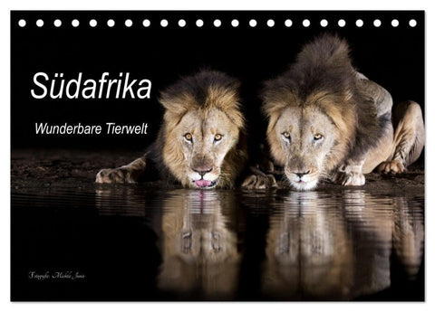 Südafrika wunderbare Tierwelt (Tischkalender 2027 DIN A5 quer), CALVENDO Monatskalender