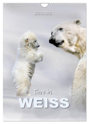 Tiere in Weiß (Wandkalender 2026 DIN A4 hoch), CALVENDO Monatskalender
