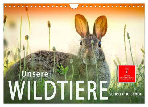Unsere Wildtiere - scheu und schön (Wandkalender 2026 DIN A4 quer), CALVENDO Monatskalender