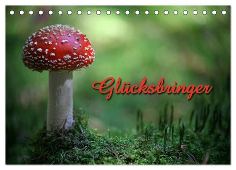 Glücksbringer (Tischkalender 2027 DIN A5 quer), CALVENDO Monatskalender