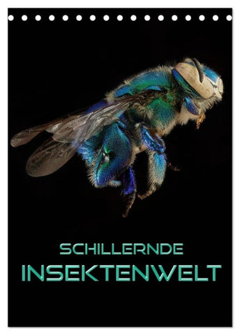 Schillernde Insektenwelt (Tischkalender 2027 DIN A5 hoch), CALVENDO Monatskalender