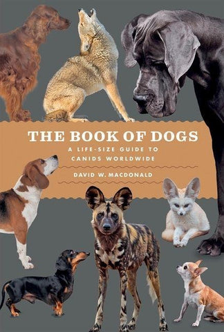 The Book of Dogs