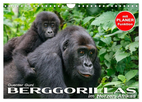 Berggorillas im Herzen Afrikas (Wandkalender 2027 DIN A4 quer), CALVENDO Monatskalender