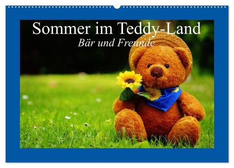Sommer im Teddy-Land. Bär und Freunde (Wandkalender 2026 DIN A2 quer), CALVENDO Monatskalender