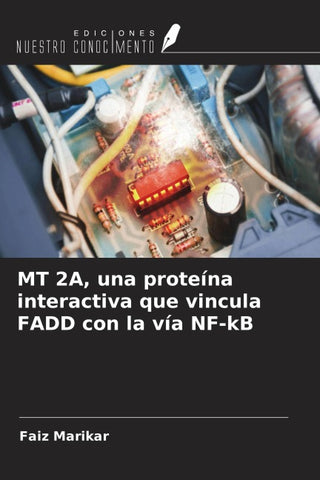 MT 2A, una proteína interactiva que vincula FADD con la vía NF-kB
