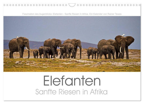 Elefanten - Sanfte Riesen in Afrika (Wandkalender 2026 DIN A3 quer), CALVENDO Monatskalender