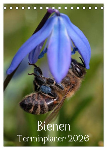 Bienen-Terminplaner 2026 (Tischkalender 2026 DIN A5 hoch), CALVENDO Monatskalender