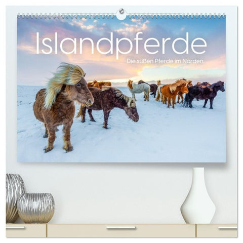 Islandpferde - Die süßen Pferde im Norden. (hochwertiger Premium Wandkalender 2027 DIN A2 quer), Kunstdruck in Hochglanz
