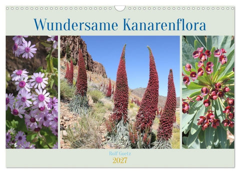 Wundersame Kanarenflora (Wandkalender 2027 DIN A3 quer), CALVENDO Monatskalender