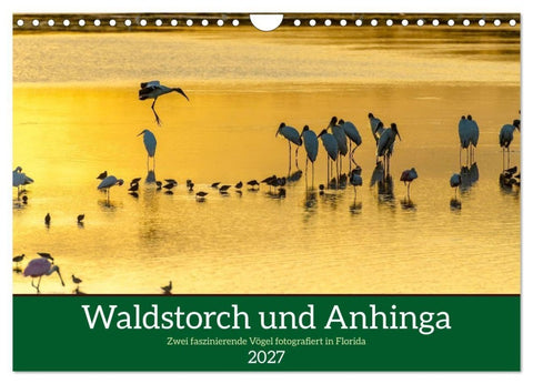 Waldstorch und Anhinga (Wandkalender 2027 DIN A4 quer), CALVENDO Monatskalender