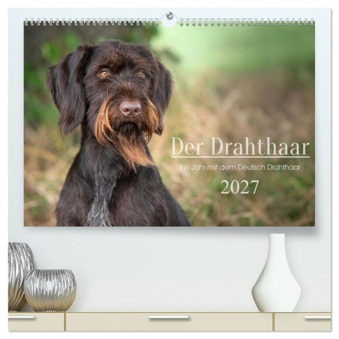Der Drahthaar (hochwertiger Premium Wandkalender 2027 DIN A2 quer), Kunstdruck in Hochglanz