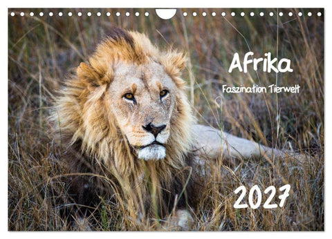 Afrika - Faszination Tierwelt (Wandkalender 2027 DIN A4 quer), CALVENDO Monatskalender