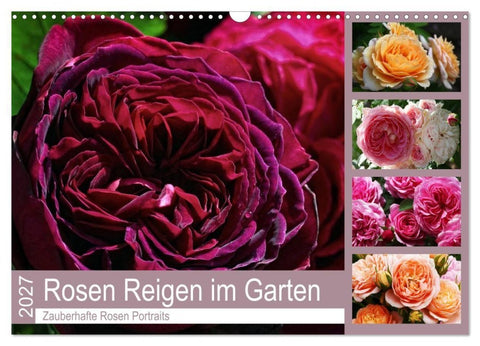 Rosen Reigen im Garten (Wandkalender 2027 DIN A3 quer), CALVENDO Monatskalender