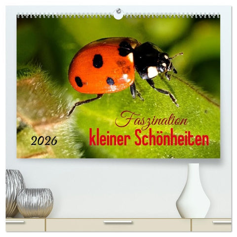 Faszination kleiner Schönheiten (hochwertiger Premium Wandkalender 2026 DIN A2 quer), Kunstdruck in Hochglanz