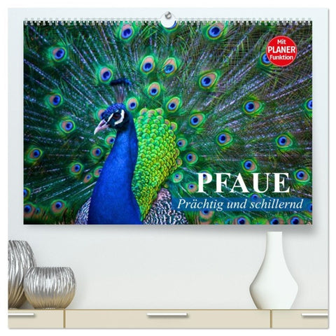 Pfaue. Prächtig und schillernd (hochwertiger Premium Wandkalender 2026 DIN A2 quer), Kunstdruck in Hochglanz