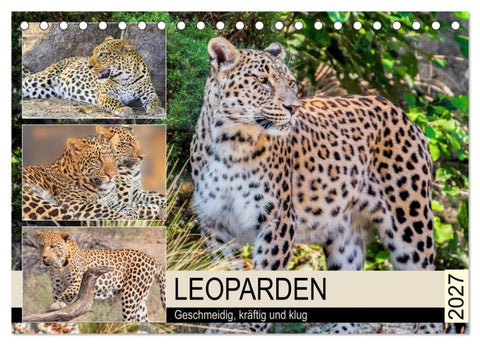 Leoparden. Geschmeidig, kräftig und klug (Tischkalender 2027 DIN A5 quer), CALVENDO Monatskalender