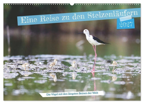 Eine Reise zu den Stelzenläufern (Wandkalender 2027 DIN A2 quer), CALVENDO Monatskalender