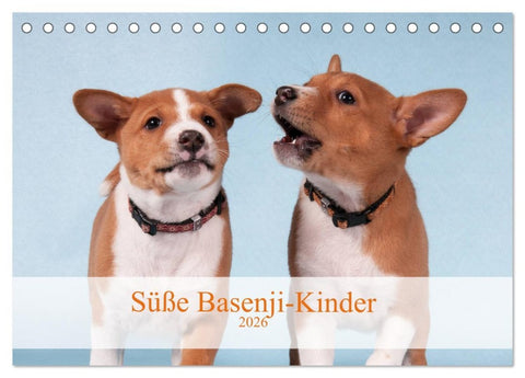Süße Basenji-Kinder (Tischkalender 2026 DIN A5 quer), CALVENDO Monatskalender