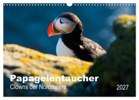PAPAGEIENTAUCHER - Clowns der Nordmeere (Wandkalender 2027 DIN A3 quer), CALVENDO Monatskalender