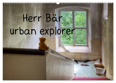 Herr Bär urban explorer (Wandkalender 2027 DIN A2 quer), CALVENDO Monatskalender