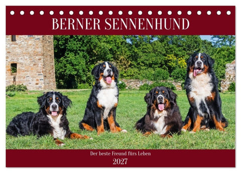 Berner Sennenhund - Der beste Freund fürs Leben (Tischkalender 2027 DIN A5 quer), CALVENDO Monatskalender