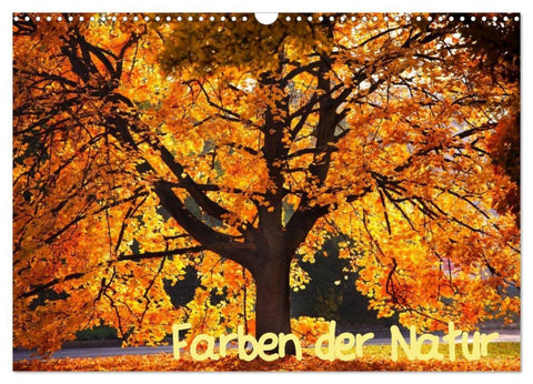 Farben der Natur (Wandkalender 2027 DIN A3 quer), CALVENDO Monatskalender