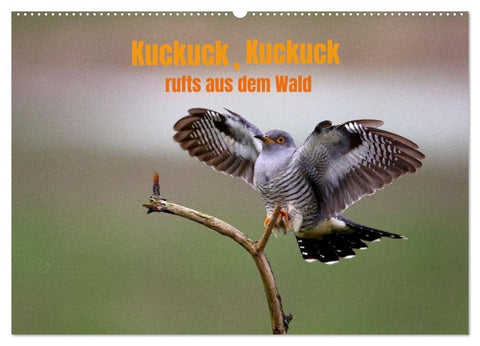 Kuckuck,Kuckuck,rufts aus dem Wald (Wandkalender 2027 DIN A2 quer), CALVENDO Monatskalender