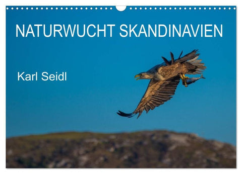Naturwucht Skandinavien (Wandkalender 2027 DIN A3 quer), CALVENDO Monatskalender