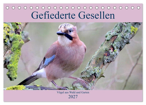 Gefiederte Gesellen - Vögel aus Wald und Garten (Tischkalender 2027 DIN A5 quer), CALVENDO Monatskalender
