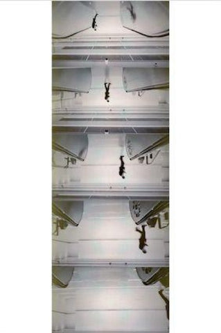 Peter Fischli. Addition, Subtraction, Multiplication