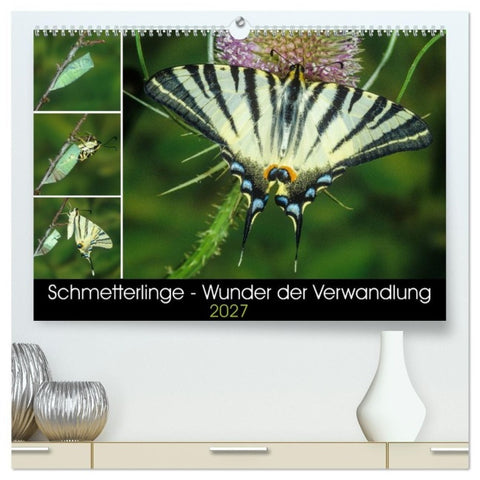 Schmetterlinge - Wunder der Verwandlung (hochwertiger Premium Wandkalender 2027 DIN A2 quer), Kunstdruck in Hochglanz