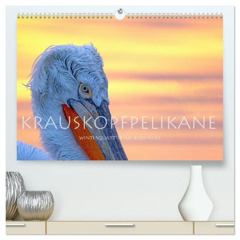 Krauskopfpelikane (hochwertiger Premium Wandkalender 2027 DIN A2 quer), Kunstdruck in Hochglanz