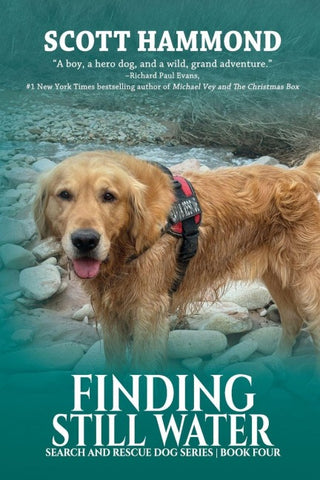 Finding Still Water