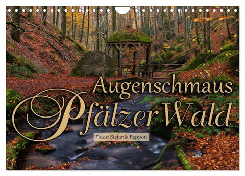 Augenschmaus Pfälzer Wald (Wandkalender 2026 DIN A4 quer), CALVENDO Monatskalender