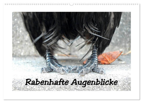 Rabenhafte Augenblicke (Wandkalender 2027 DIN A2 quer), CALVENDO Monatskalender
