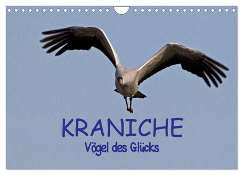 Kraniche - Vögel des Glücks (Wandkalender 2027 DIN A4 quer), CALVENDO Monatskalender