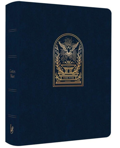 Schlachter LIEBEZURBIBEL Fons Vitae